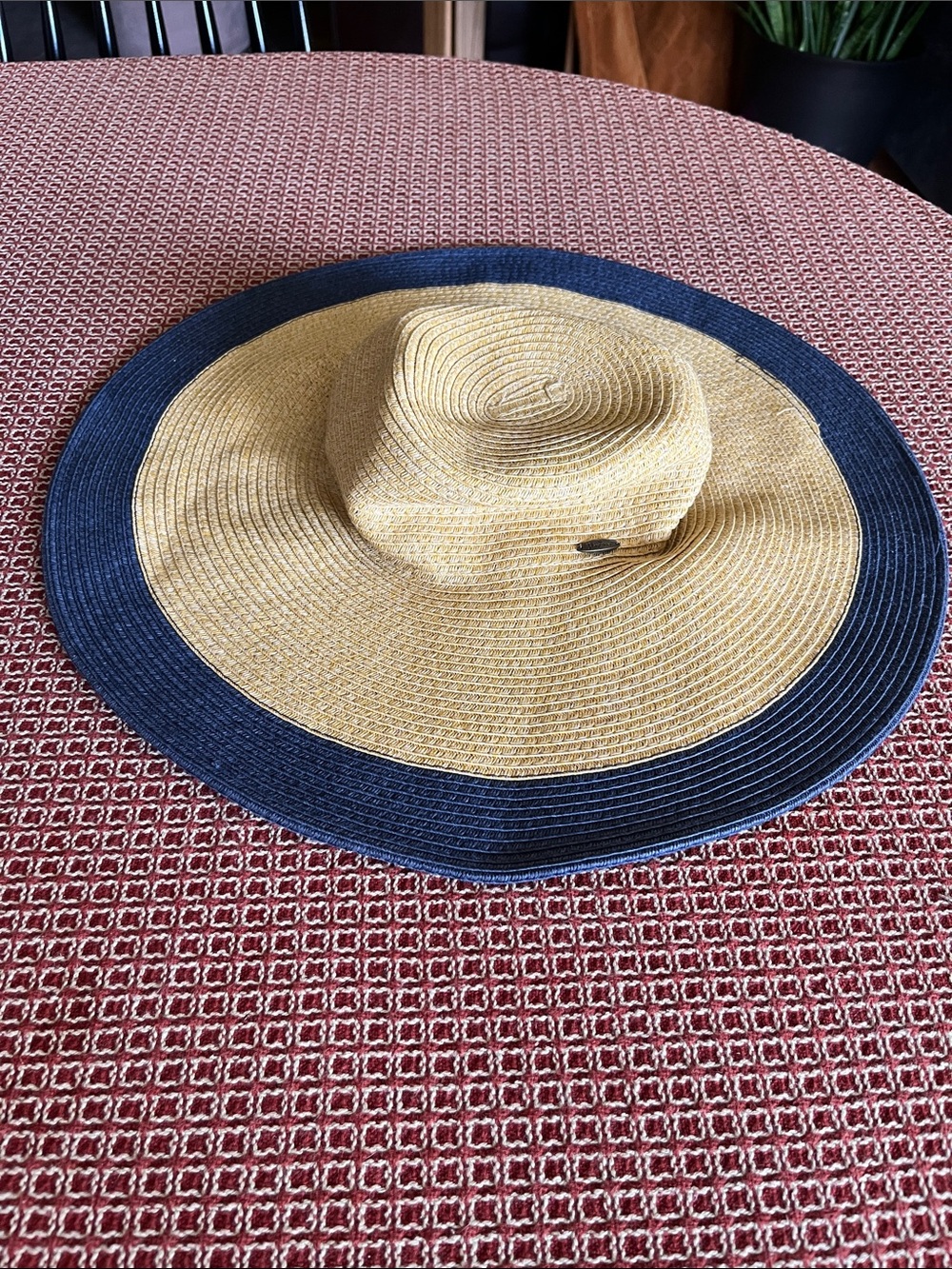 Papillon Straw Sun Hat with Navy Band